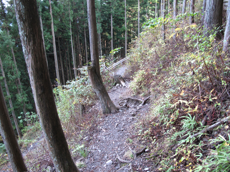 20151116hike (332)
